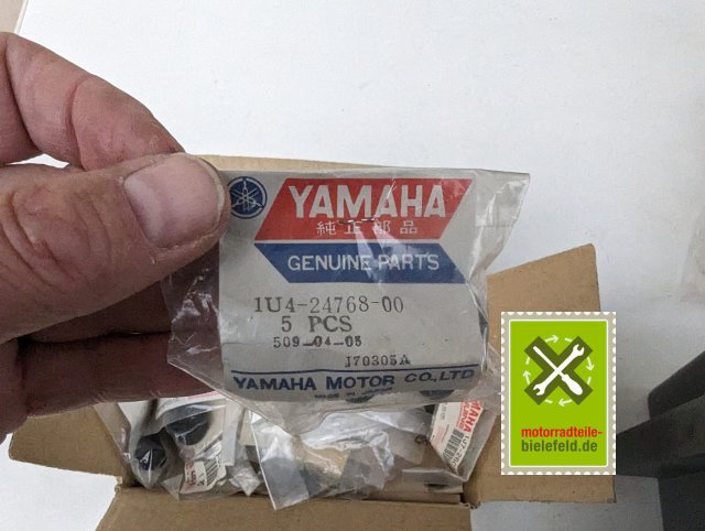 PXL_20240528_174852147